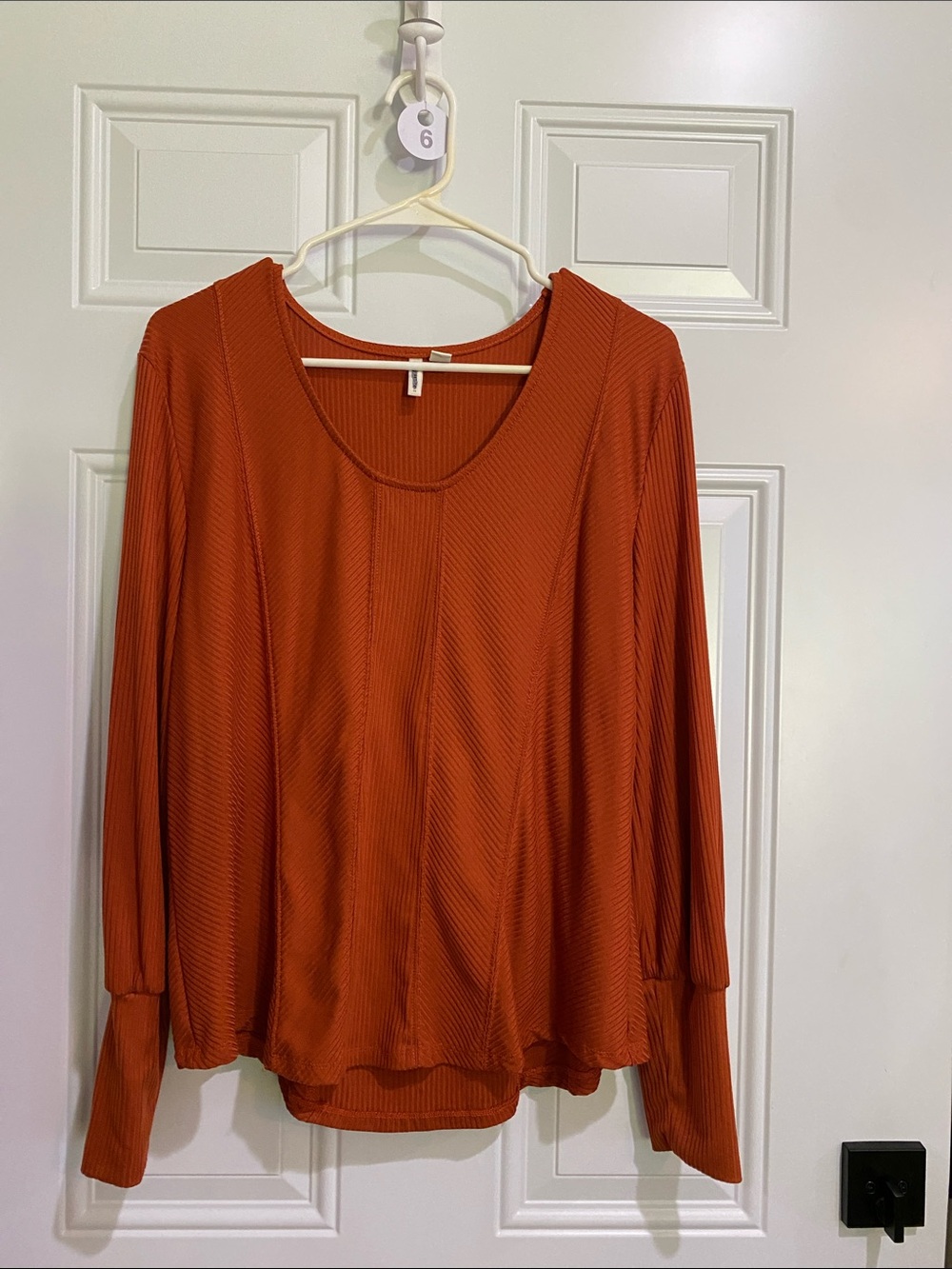 Cato Long Sleeve Scoop Neck Top in Rust